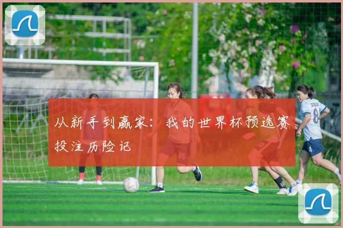 从新手到赢家：我的世界杯预选赛投注历险记