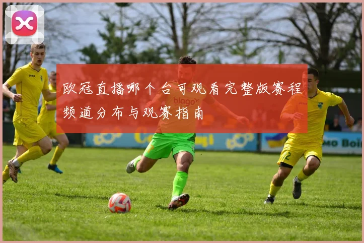 欧冠直播哪个台可观看完整版赛程频道分布与观赛指南