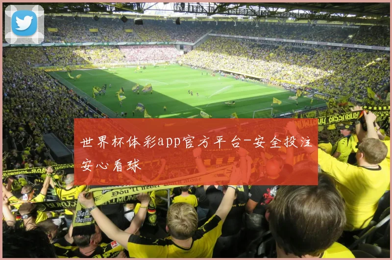 世界杯体彩app官方平台-安全投注安心看球